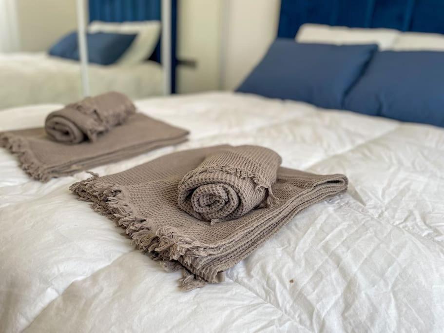 Le Lagon Bleu - Appt Wifi Parking Balcon Le Puy-en-Velay Εξωτερικό φωτογραφία
