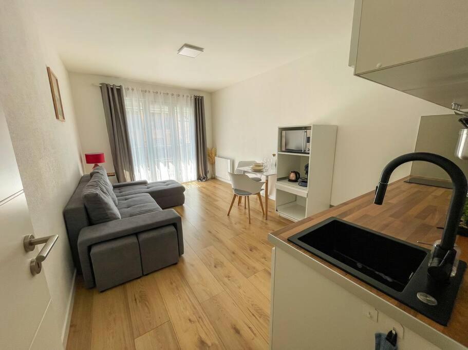 Le Lagon Bleu - Appt Wifi Parking Balcon Le Puy-en-Velay Εξωτερικό φωτογραφία
